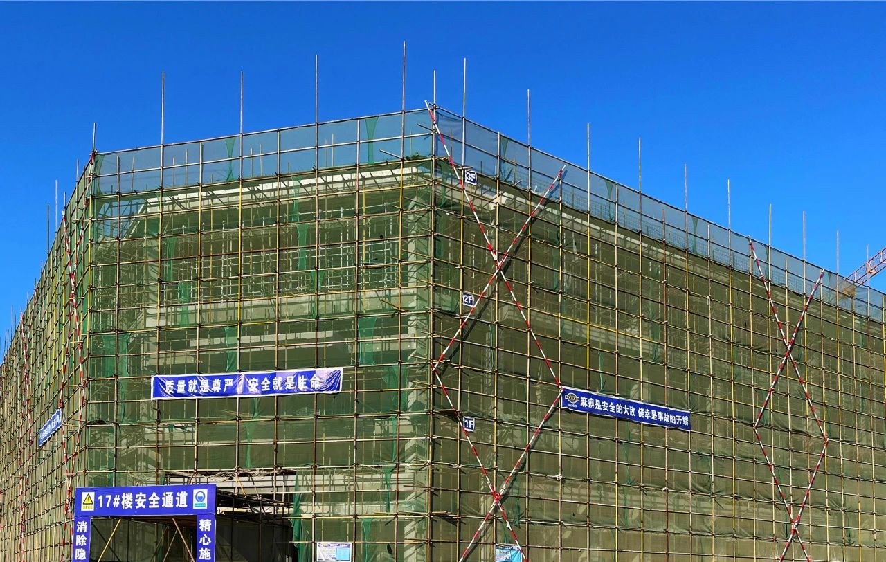 p4.jpg